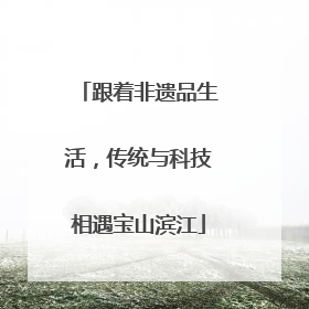 跟着非遗品生活，传统与科技相遇宝山滨江