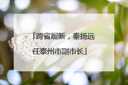 跨省履新，秦扬远任泰州市副市长