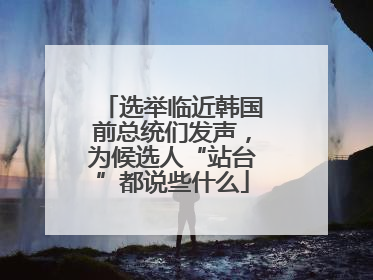 选举临近韩国前总统们发声，为候选人“站台”都说些什么