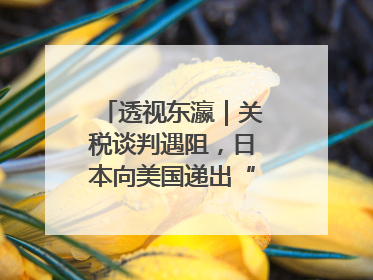 透视东瀛｜关税谈判遇阻，日本向美国递出“投名状”