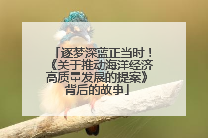 逐梦深蓝正当时！《关于推动海洋经济高质量发展的提案》背后的故事