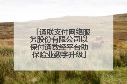 通联支付网络服务股份有限公司以保付通数经平台助保险业数字升级