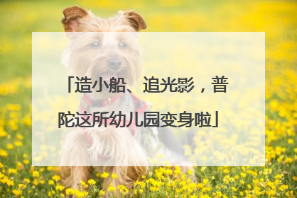 造小船、追光影，普陀这所幼儿园变身啦
