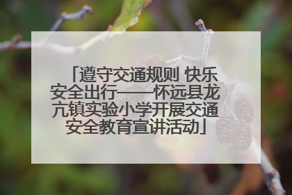 遵守交通规则 快乐安全出行——怀远县龙亢镇实验小学开展交通安全教育宣讲活动