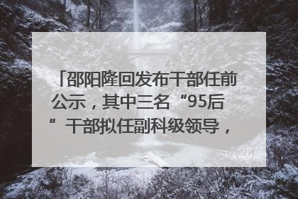 邵阳隆回发布干部任前公示，其中三名“95后”干部拟任副科级领导，均系硕士选调生