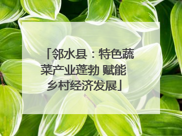 邻水县：特色蔬菜产业蓬勃 赋能乡村经济发展