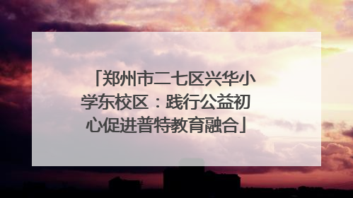 郑州市二七区兴华小学东校区：践行公益初心促进普特教育融合