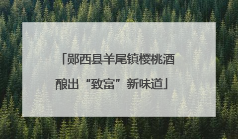 郧西县羊尾镇樱桃酒酿出“致富”新味道