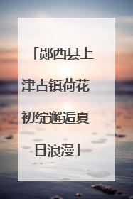 郧西县上津古镇荷花初绽邂逅夏日浪漫