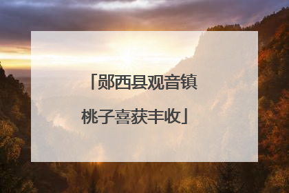 郧西县观音镇桃子喜获丰收