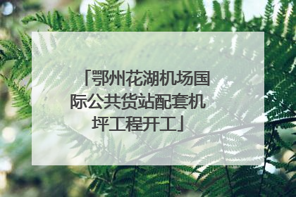 鄂州花湖机场国际公共货站配套机坪工程开工