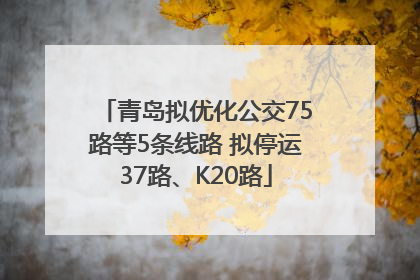 青岛拟优化公交75路等5条线路 拟停运37路、K20路