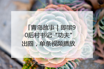 青岛故事｜即墨90后村书记“功夫”出圈，单条视频播放量过600万