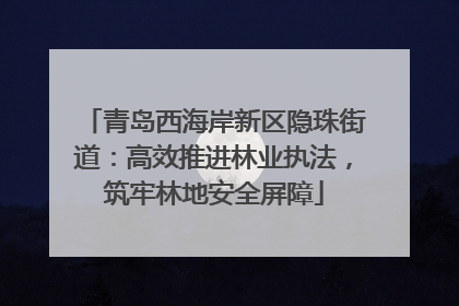 青岛西海岸新区隐珠街道：高效推进林业执法，筑牢林地安全屏障