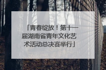 青春绽放！第十一届湖南省青年文化艺术活动总决赛举行
