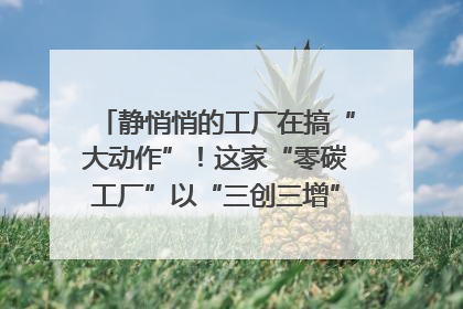 静悄悄的工厂在搞“大动作”！这家“零碳工厂”以“三创三增”探索共富新路径｜网络名人四川行