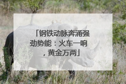 钢铁动脉奔涌强劲势能：火车一响，黄金万两