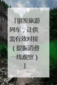 银发旅游列车，让供需有效对接（提振消费一线观察）