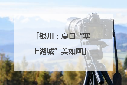 银川：夏日“塞上湖城”美如画