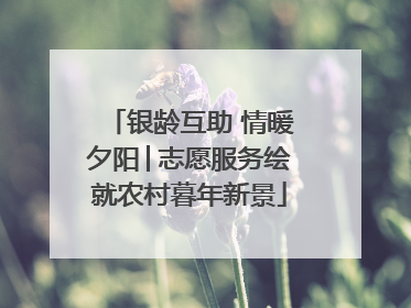 银龄互助 情暖夕阳│志愿服务绘就农村暮年新景