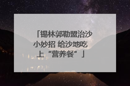 锡林郭勒盟治沙小妙招 给沙地吃上“营养餐”