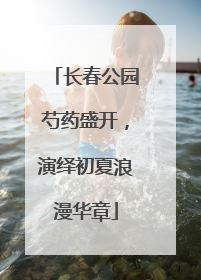 长春公园芍药盛开，演绎初夏浪漫华章