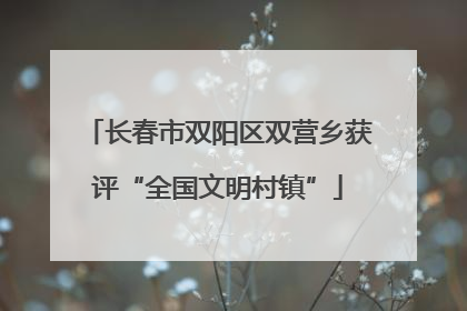 长春市双阳区双营乡获评“全国文明村镇”