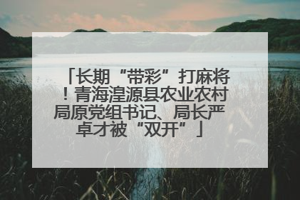 长期“带彩”打麻将！青海湟源县农业农村局原党组书记、局长严卓才被“双开”