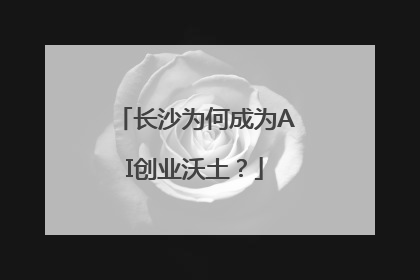 长沙为何成为AI创业沃土？