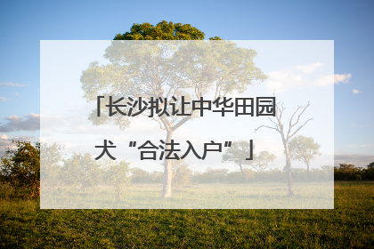 长沙拟让中华田园犬“合法入户”