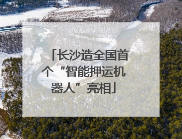 长沙造全国首个“智能押运机器人”亮相