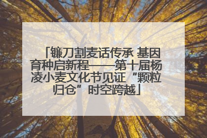 镰刀割麦话传承 基因育种启新程——第十届杨凌小麦文化节见证“颗粒归仓”时空跨越
