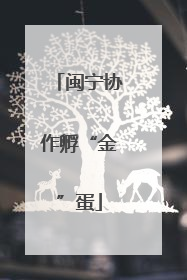 闽宁协作孵“金”蛋