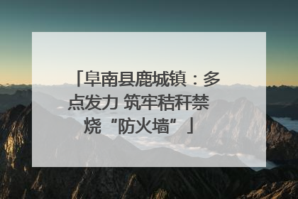 阜南县鹿城镇：多点发力 筑牢秸秆禁烧“防火墙”