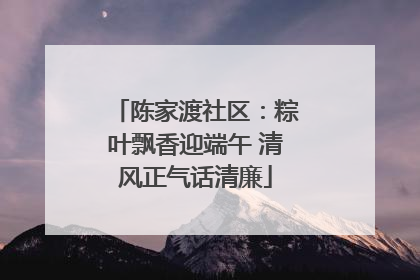 陈家渡社区：粽叶飘香迎端午 清风正气话清廉