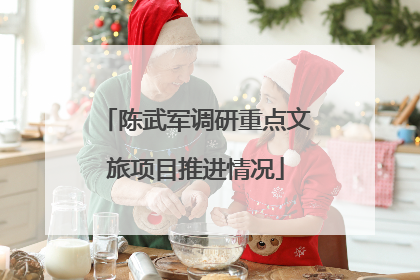 陈武军调研重点文旅项目推进情况