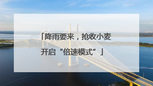 降雨要来，抢收小麦开启“倍速模式”