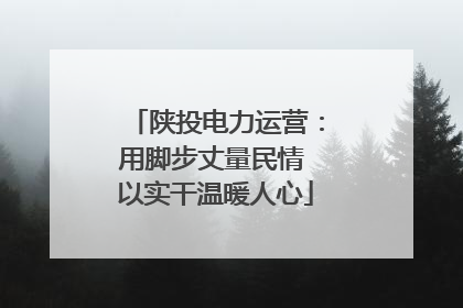 陕投电力运营：用脚步丈量民情 以实干温暖人心