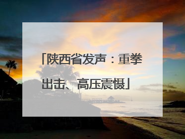 陕西省发声：重拳出击、高压震慑