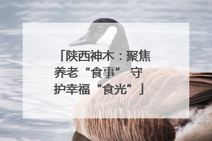 陕西神木：聚焦养老“食事” 守护幸福“食光”