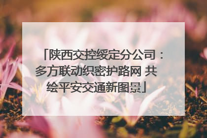 陕西交控绥定分公司：多方联动织密护路网 共绘平安交通新图景