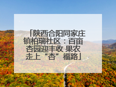 陕西合阳同家庄镇柏瑞社区：百亩杏园迎丰收 果农走上“杏”福路