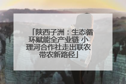 陕西子洲：生态循环赋能全产业链 小理河合作社走出联农带农新路径