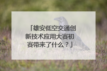 雄安低空交通创新技术应用大赛初赛带来了什么？