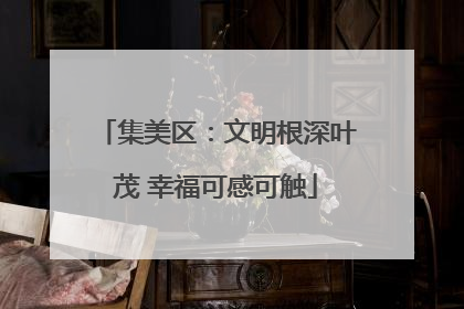 集美区：文明根深叶茂 幸福可感可触