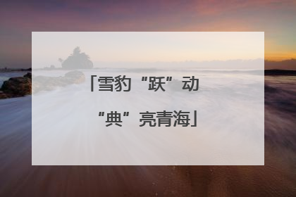 雪豹“跃”动 “典”亮青海