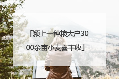 颍上一种粮大户3000余亩小麦喜丰收