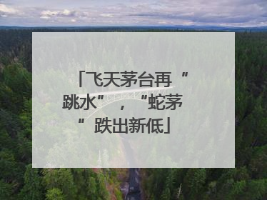 飞天茅台再“跳水”，“蛇茅”跌出新低