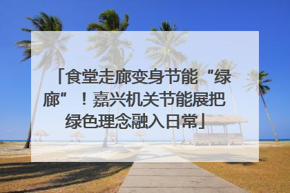 食堂走廊变身节能“绿廊”！嘉兴机关节能展把绿色理念融入日常