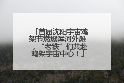 首届沈阳宇宙鸡架节燃爆浑河外滩，“老铁”们共赴鸡架宇宙中心！